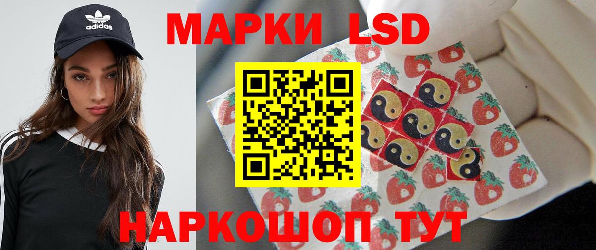 LSD-25 экстази кислота  Вход с VPN  Камышлов  Лсд 25 экстази кислота 