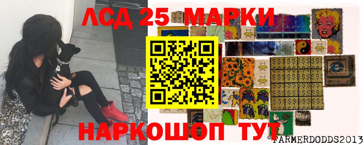 Камышлов  продажа наркотиков  Марки N-bome 1,5мг  Вход с VPN  Марки N-bome 1,5мг 