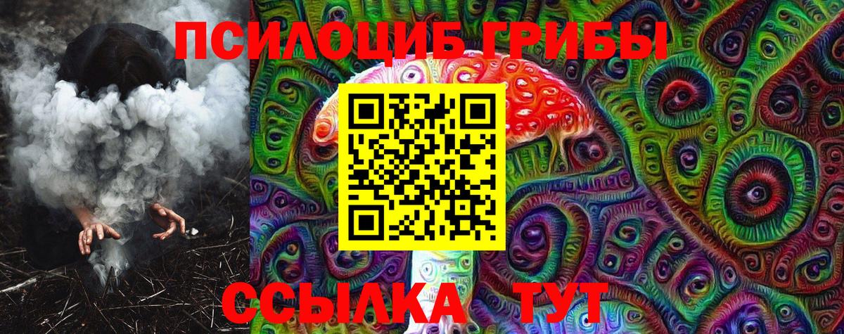 Галлюциногенные грибы GOLDEN TEACHER Камышлов
