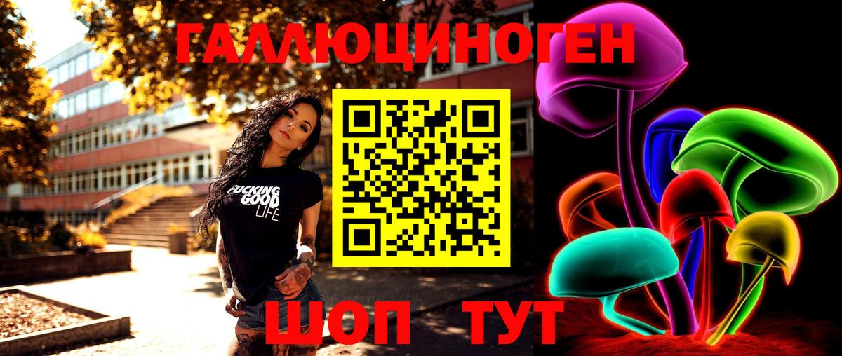 Камышлов  Псилоцибиновые грибы Psilocybe  Вход с VPN  Псилоцибиновые грибы GOLDEN TEACHER 